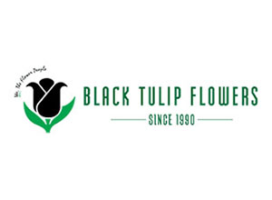 Black Tulip Flowers